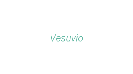 Логотип компании Vesuvio