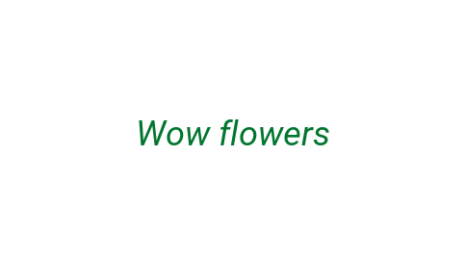 Логотип компании Wow flowers