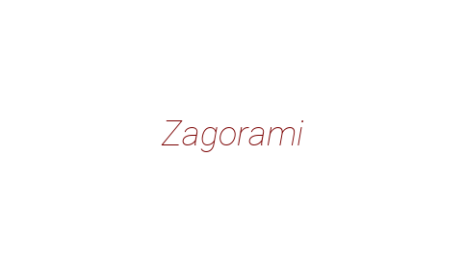 Логотип компании Zagorami