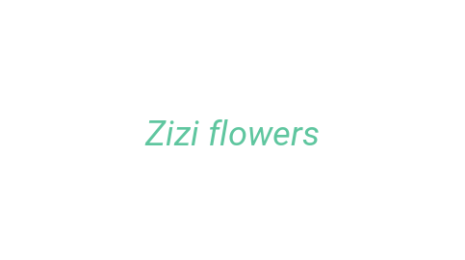 Логотип компании Zizi flowers